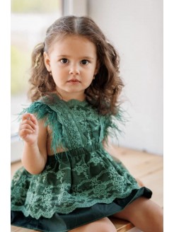 Baby girl feather sleeves dress